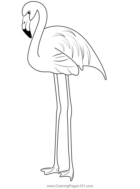 Flamingo Bird 3 Coloring Page For Kids Free Flamingos Printable