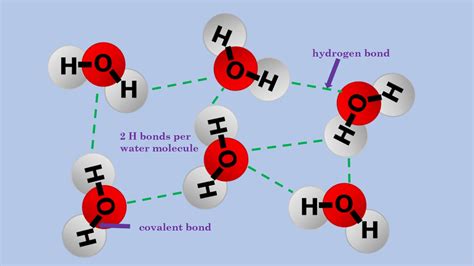 Hydrogen Bonding In Water Dr M Chemistry Tutor