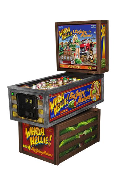 Whoa Nellie | Pinball machine, Pinball, Stern pinball