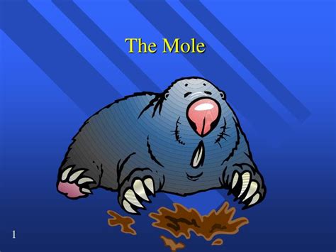 Ppt The Mole Powerpoint Presentation Free Download Id2666131