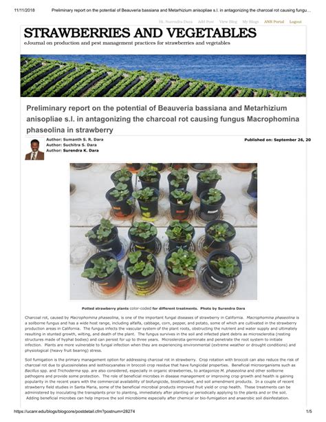 Pdf Preliminary Report On The Potential Of Beauveria Bassiana And Metarhizium Anisopliae S L