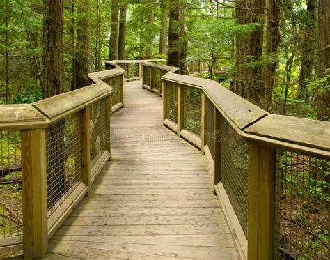 Wooden Forest Walkway Stock Image Image Of Nature Tourism 21906209