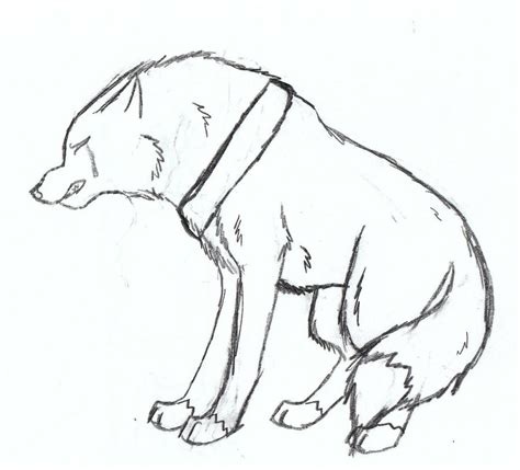Drawn howling wolf sad - Pencil and in color drawn howling wolf sad