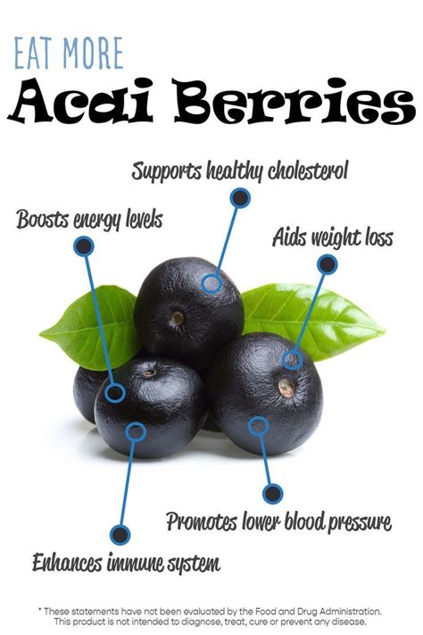 These single seed berries have been used/consumed by amazonian tribes for generations for their nutritive benefits. Powerful Acai Berry Health Benefits Including 3 Major ...