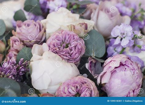 Lilac Peonies Roses Floral Background Stock Image Image Of Roses