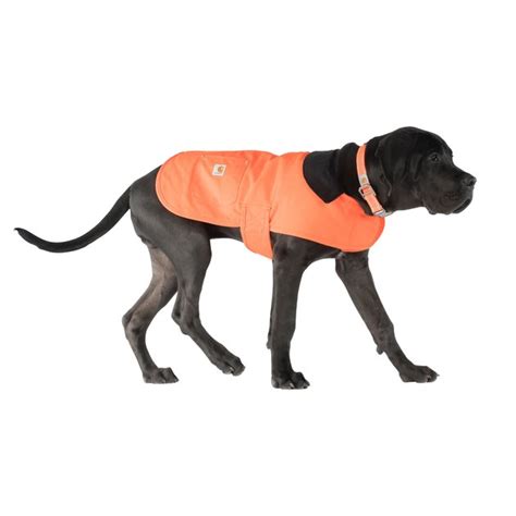 Carhartt Chore Insulated Dog Coat Hunter Orange Large