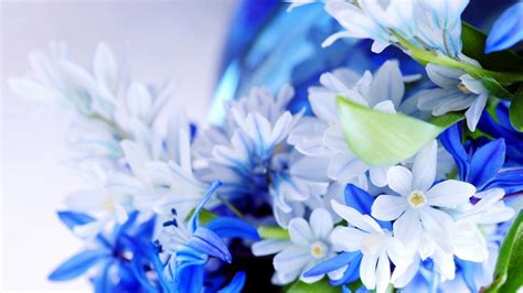 Paling Keren 18 Wallpaper Bunga Biru Gambar Bunga Indah
