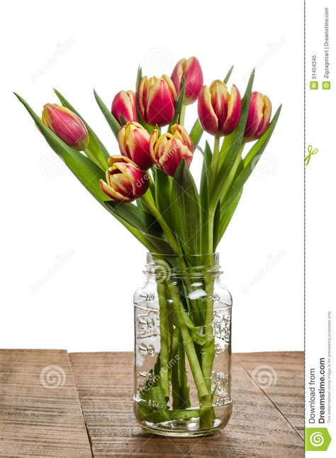 Bouquet Of Tulips In A Mason Jar Stock Image Image Of Perennial