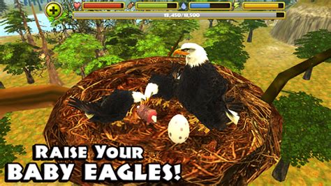 Eagle games is raising funds for fleet: Eagle Simulator » Android Games 365 - Free Android Games ...