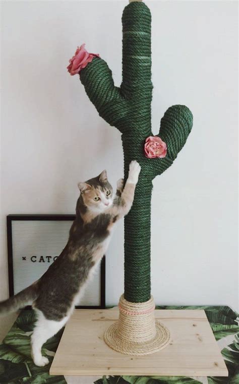 Diy Cat Tower Cat Tree Designs Gato Diy Cactus Cat Cactus Plants
