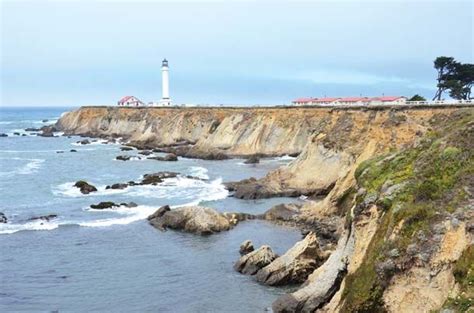 Bay Nature Magazine A Coastal National Monument Trail Near Point Arena