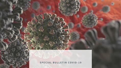 Special Coronavirus Bulletin No 1 Now Available Cde Almería Centro