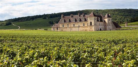 Dix Futurs Ambassadeurs Pour Le Vin De Bourgogne La Revue Du Vin De