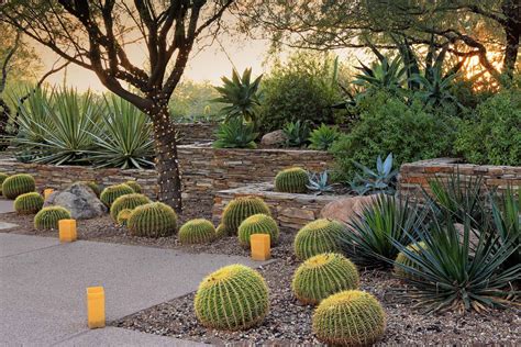 Awesome Landscape Plants Ideas Desert Landscaping Backyard Desert