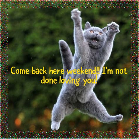 Funny End Of Weekend Quotes Shortquotescc