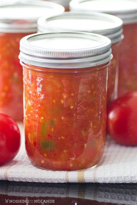 homemade canned tomato salsa     fresh summer produce