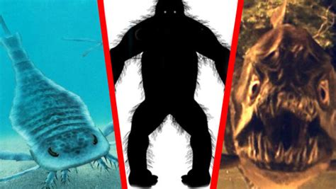 10 Terrifying Creatures That Youll Be Glad Are Extinct Page 2