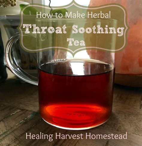 Throat Soothing Tea Here Is A Simple Effective Recipe For A Sore