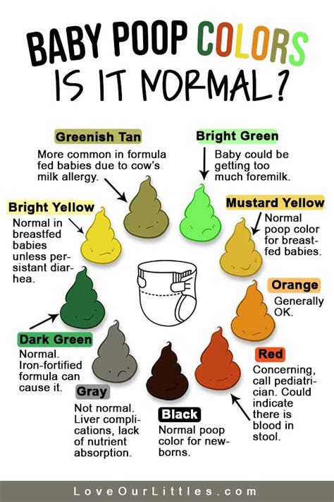 Baby Poop Colors Chart And Pictures Whats Normal Love Our Littles®