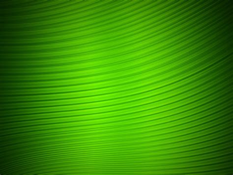 Green Wallpaper Green Wallpaper 23886940 Fanpop