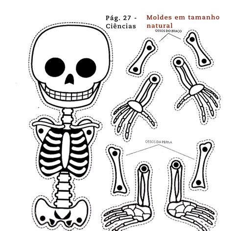 Esqueleto Humano Para Imprimir My Xxx Hot Girl
