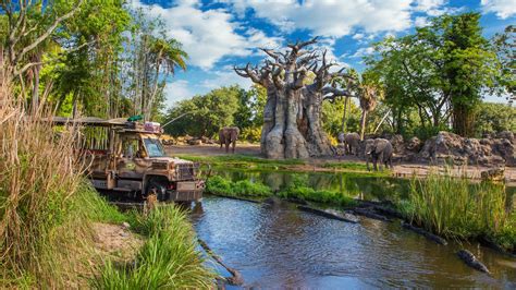 Kilimanjaro Safaris Animal Kingdom Attractions Walt Disney World Resort
