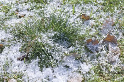 Winter Lawn Care How To Take Care Of Grass In Winter