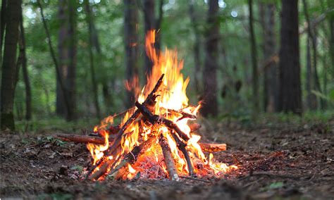How To Build A Fire Life And Style The Guardian