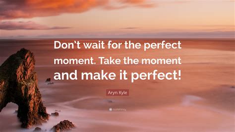 Aryn Kyle Quote Dont Wait For The Perfect Moment Take The Moment