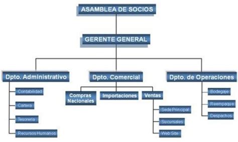 Organigrama De Una Empresa Comercial Gestion Org