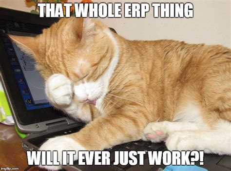 Erp Its Frustrating Imgflip