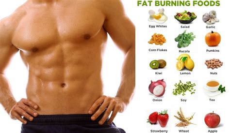 Body Building Top 4 Foods That Burn Fat Bodydulding