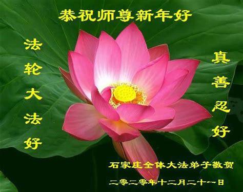 Ucapan terima kasih untuk ibu dan ayah yang menyayangi kita. Praktisi Falun Dafa dari Kota Shijiazhuang dengan Hormat ...