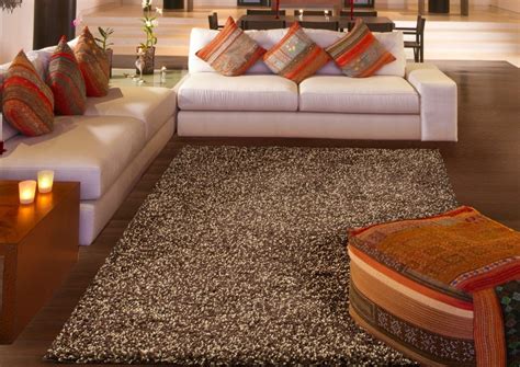 Best 10 Adorable Shag Area Rugs For Chic Living Room Interior Design