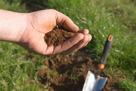 Soil Testing Carolina Fresh Farms