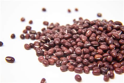 Wholesale Adzuki Bean Sprout Seed Caudill Sprouting