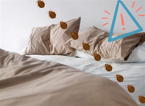 Unveiling The Unseen Recognizing The Signs Of Bed Bugs On Sheets Thebedbugpress Com