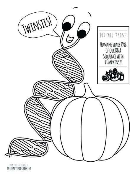 Dna structure and replication coloring worksheet. Dna Coloring Page at GetColorings.com | Free printable ...