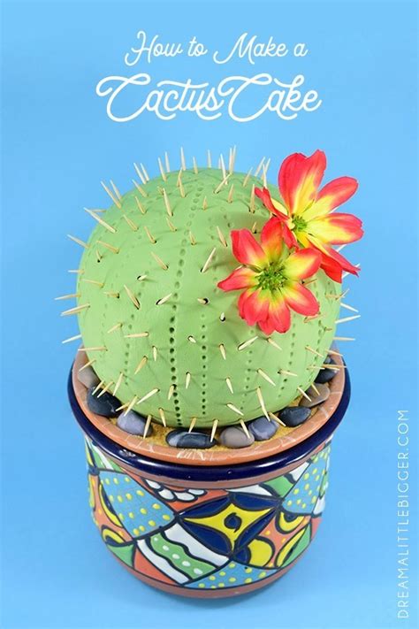 We carry a large variety of cacti and. You don't have to be a master decorator to knock out this ...
