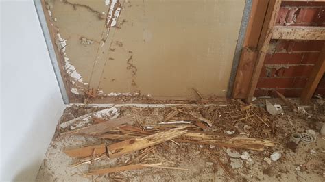 When you partner with bama exterminating for your pest control needs, you can rest assured that you will receive the best possible service and guaranteed elimination. Termite Inspections Services in Adelaide | New Home ...