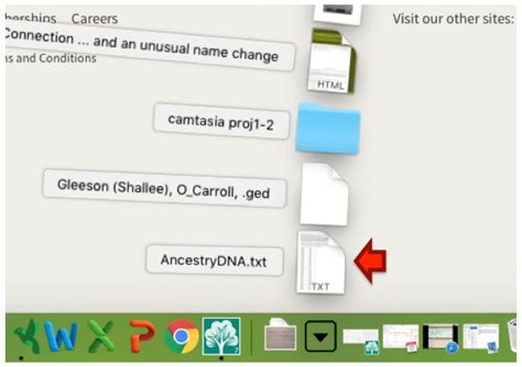 DNA and Family Tree Research: How to download your Ancestry DNA data ...