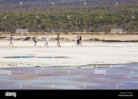Mexico Baja California Salt Flats Hi Res Stock Photography And Images