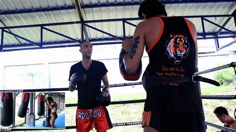 tiger muay thai and mma chiang mai youtube