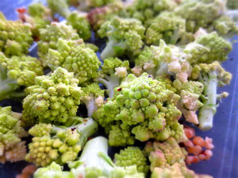 More info on this wonderful plant coming soon! Lemon Walnut Roasted Broccoli Romanesco