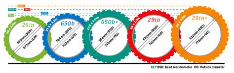 Mountain Bike Size Chart 7 Simple Steps Right Mtb Size Quickly