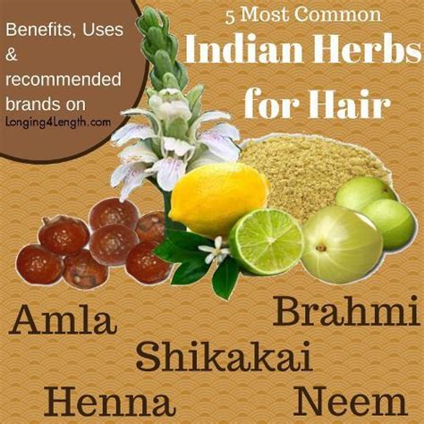 Indian Herbs For Hair With Images Herbs For Hair Indian Hair Care