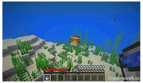 what can you do with pufferfish in minecraft