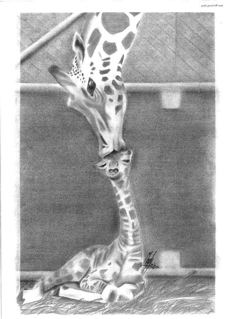Giraffes By Megaalexart On Deviantart
