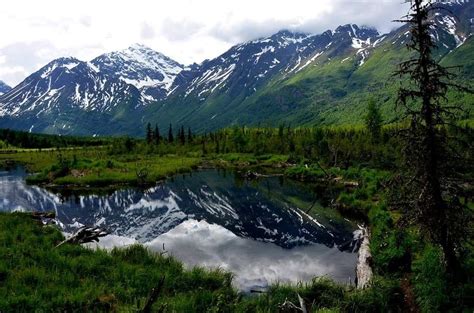 Chugach National Forest Alaska Travel Alaska