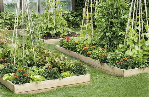 Diy Trellis For Raised Garden Bed Ideas 11 Surprising Inspirations